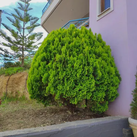 Colourful Appartement *